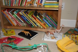 Another photo of the bookshelf, this time only the bottom and floor in front of it. Several books are placed on the floor, each with its own animal figurine on top.